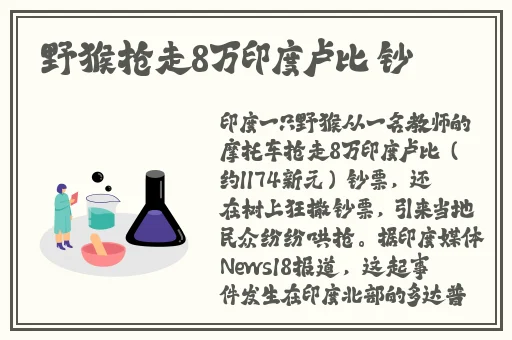 5g在视影讯天天5g免费观看